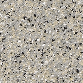 1/16” Flake - Dolphin