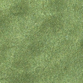 Solid Metallic - Avocado