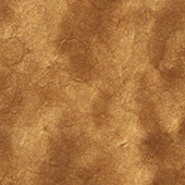 Solid Metallic - Mohave Sand