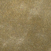 Solid Metallic - Palapa